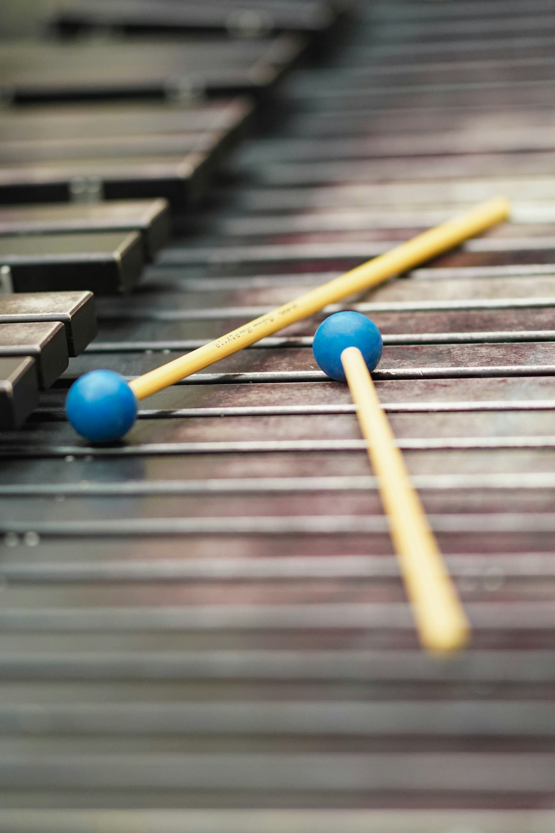 Le marimba, un instrument qui surprend !